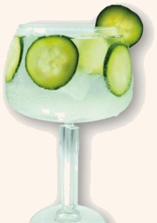Gin Hendricks